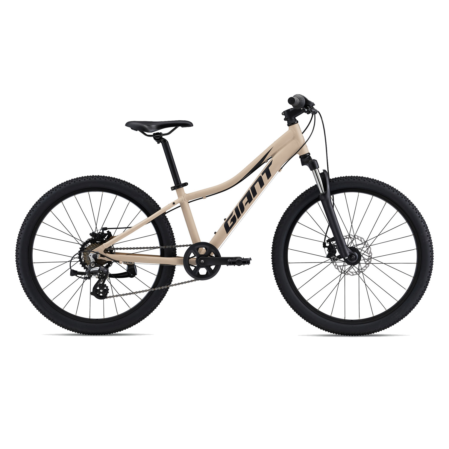 Giant 24 mountain bike hotsell
