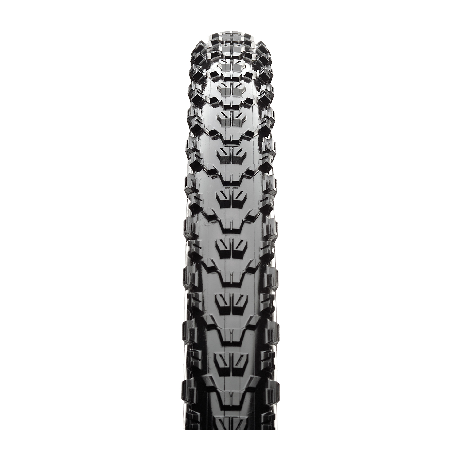 Maxxis Ardent