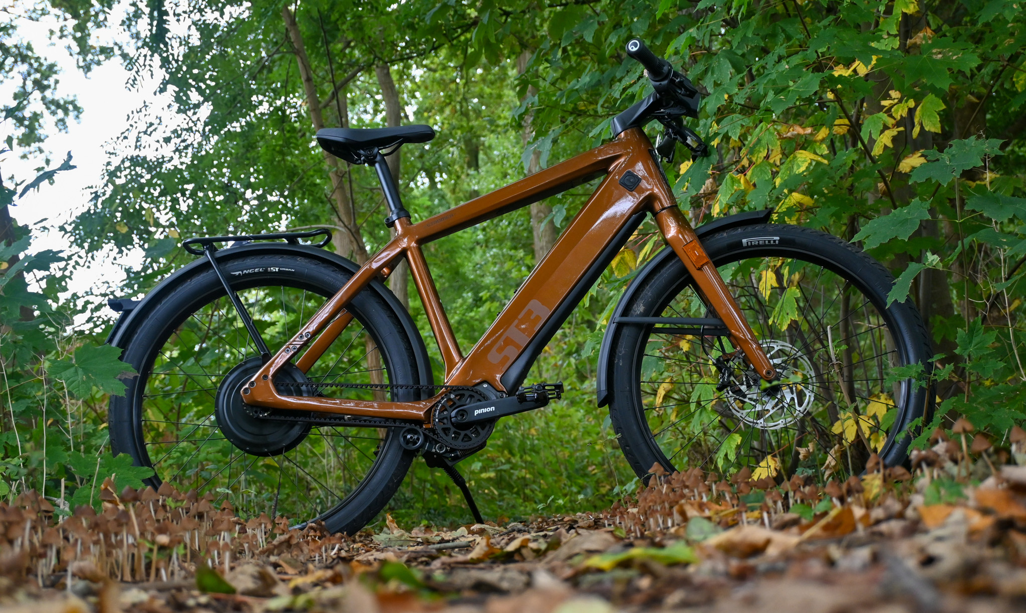 Speed Pedelecs