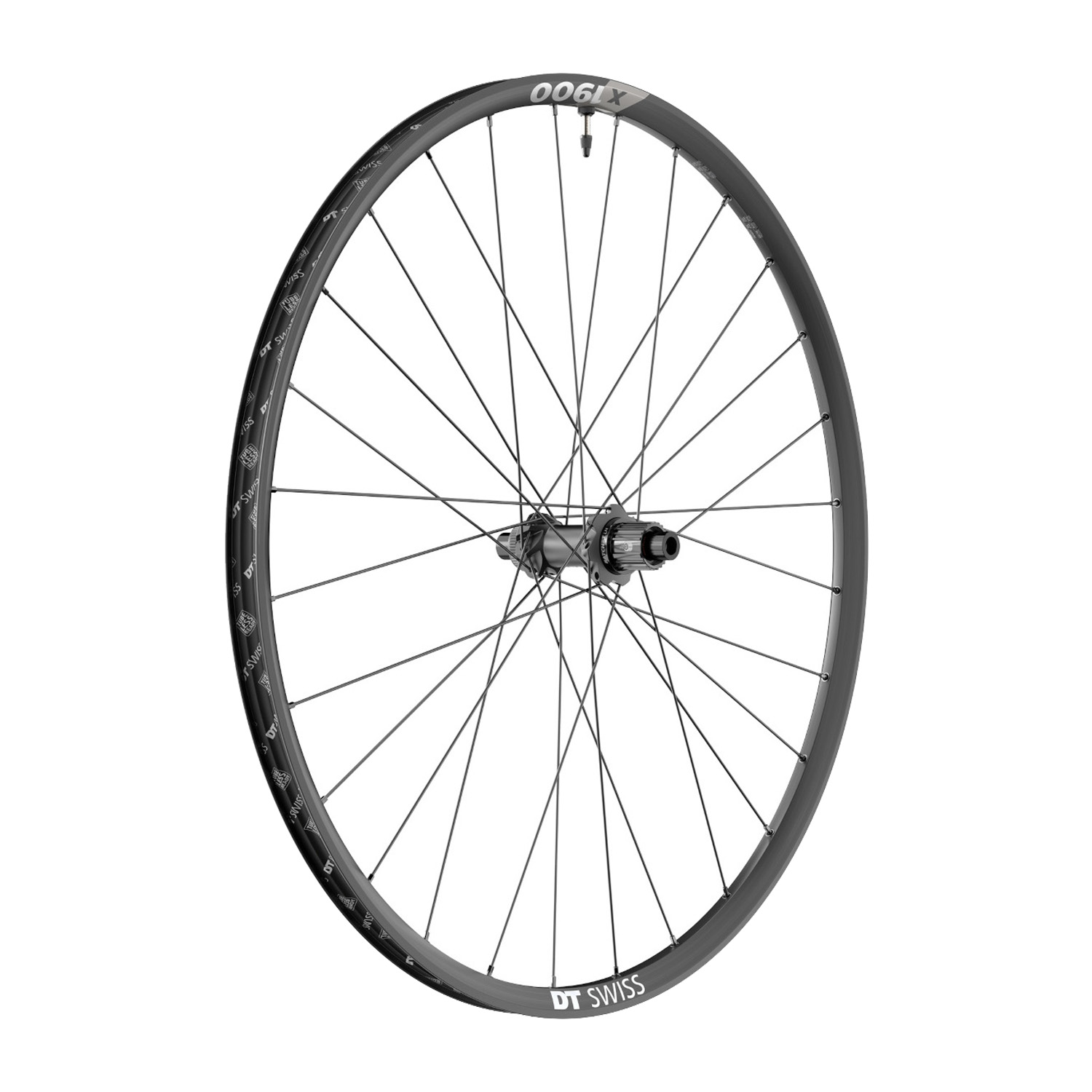 DT Swiss X1900 Spline boost 29"