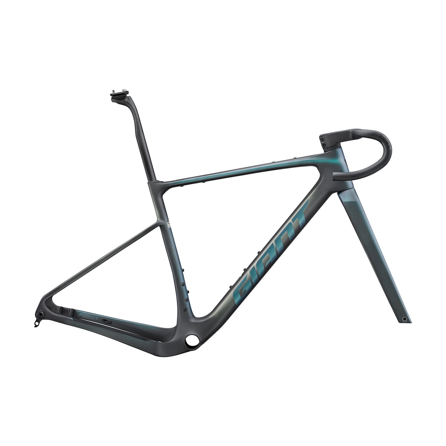 Giant Revolt Advanced SL Frameset